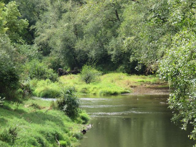 Banks-Vernonia Banks-Vernonia